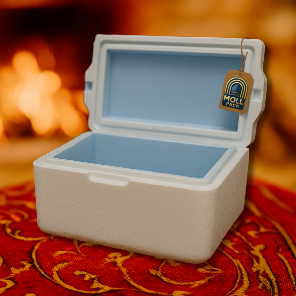 Foam Ice Box